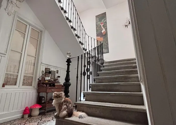 Le Logis Blanc b&b